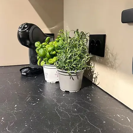 Campus Appartamento *